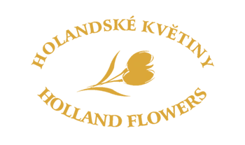 Holandské květiny